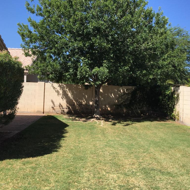 1894 E Appaloosa Rd, Gilbert, AZ 85296 photo 19