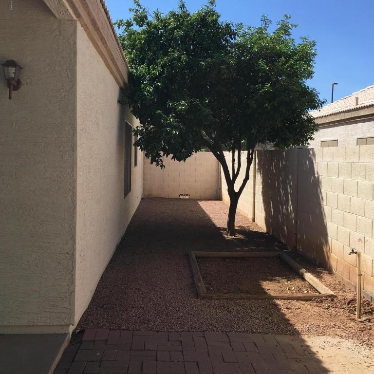 1894 E Appaloosa Rd, Gilbert, AZ 85296 photo 18