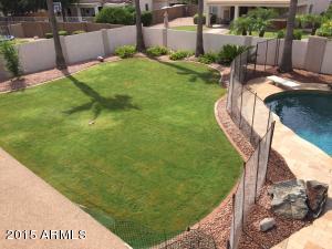 2527 E Sagebrush St, Gilbert, AZ 85296 photo 14