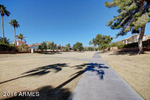 3620 E Saltsage Dr, Phoenix, AZ 85048 photo 34