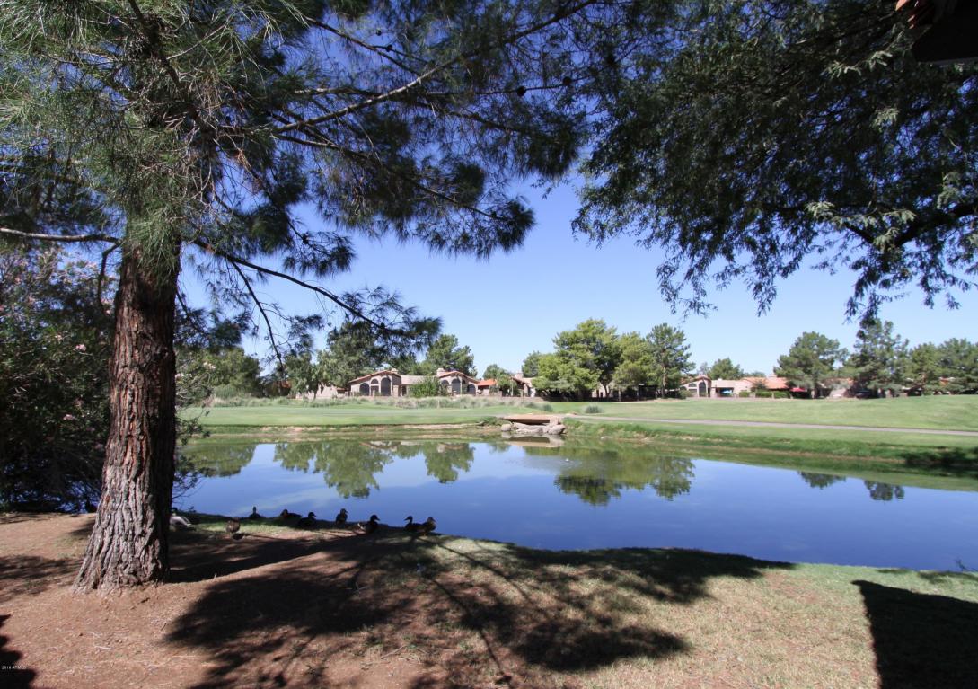 4054 E Paradise Dr, Phoenix, AZ 85028 photo 22