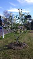 4301 E Turney Ave, Phoenix, AZ 85018 photo 25