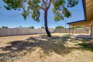 1125 E 10th Ave, Mesa, AZ 85204 photo 16