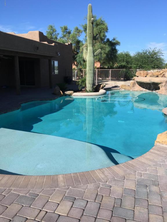 39119 N 10th St, Phoenix, AZ 85086 photo 35