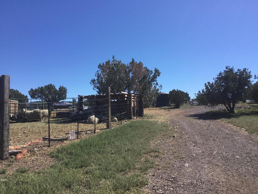 10242 Howard Mesa Loop, Williams, AZ 86046 photo 34