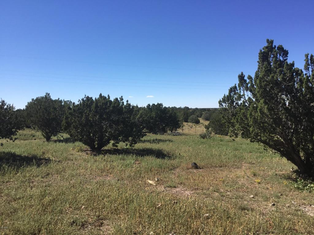 10242 Howard Mesa Loop, Williams, AZ 86046 photo 35