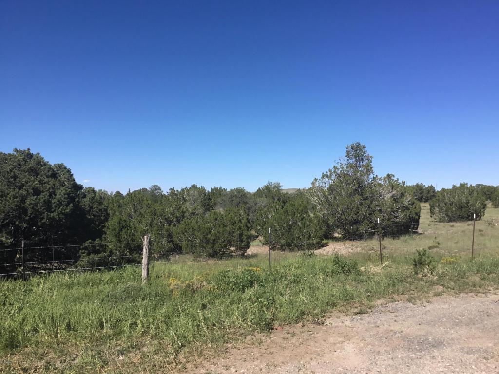 10242 Howard Mesa Loop, Williams, AZ 86046 photo 42