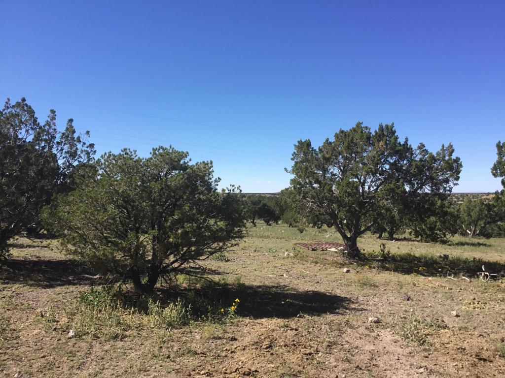 10242 Howard Mesa Loop, Williams, AZ 86046 photo 36