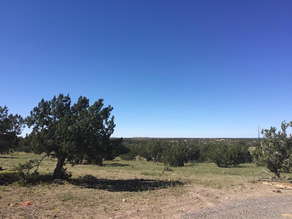 10242 Howard Mesa Loop, Williams, AZ 86046 photo 29