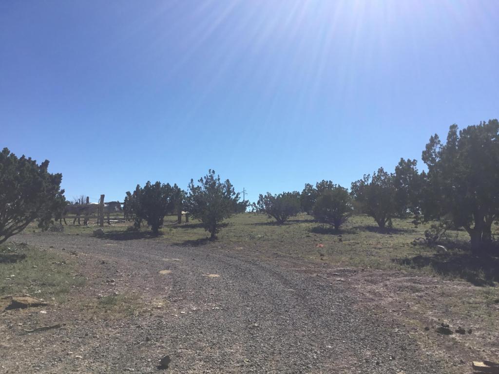 10242 Howard Mesa Loop, Williams, AZ 86046 photo 33