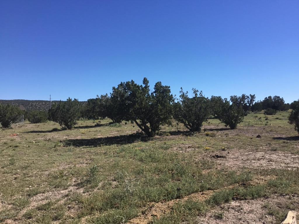 10242 Howard Mesa Loop, Williams, AZ 86046 photo 26