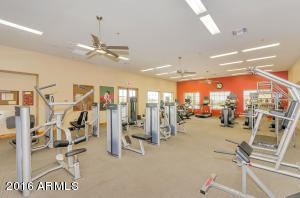 8528 E Inca St, Mesa, AZ 85207 photo 46