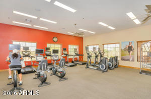 8528 E Inca St, Mesa, AZ 85207 photo 45