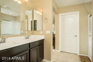 2994 E Shannon St, Gilbert, AZ 85295 photo 14