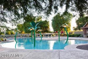 3630 E Warbler Rd, Gilbert, AZ 85297 photo 23