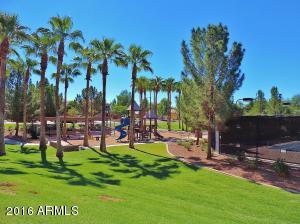 3630 E Warbler Rd, Gilbert, AZ 85297 photo 24
