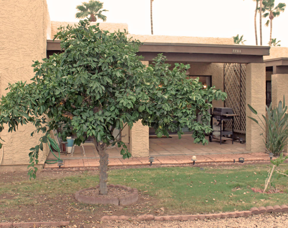 7764 E Park View Dr, Mesa, AZ 85208 photo 2