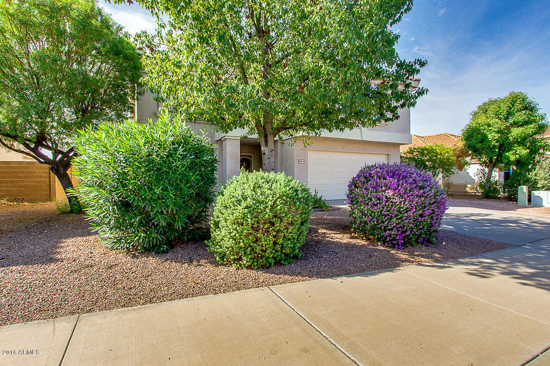 10619 E Bogart Ave, Mesa, AZ 85208 photo 37