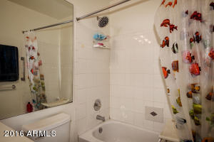 3256 E Rosemonte Dr, Phoenix, AZ 85050 photo 13