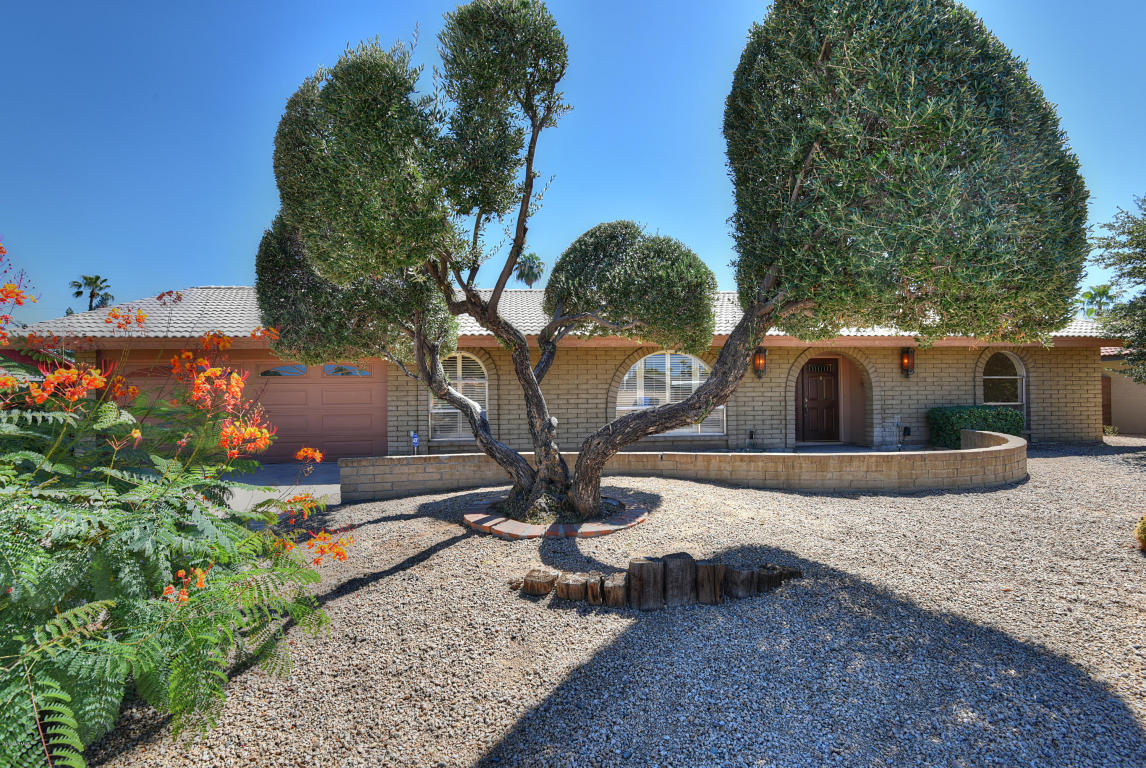 219 W Interlacken Dr, Phoenix, AZ 85023 photo 4