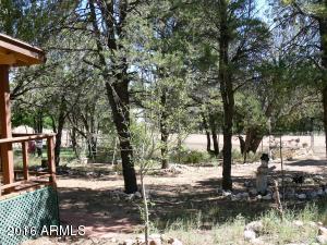 3542 Broken Arrow Rd, Overgaard, AZ 85933 photo 4