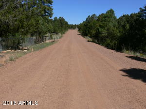 3542 Broken Arrow Rd, Overgaard, AZ 85933 photo 14