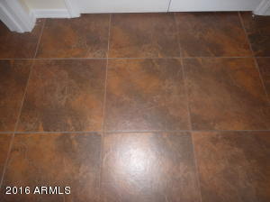 423 S Cedar Dr, Apache Junction, AZ 85120 photo 21