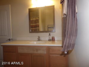 423 S Cedar Dr, Apache Junction, AZ 85120 photo 11