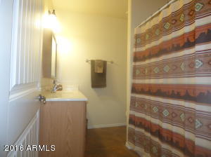 423 S Cedar Dr, Apache Junction, AZ 85120 photo 10