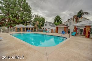441 S Maple -- #99, Mesa, AZ 85206 photo 25