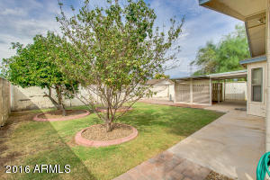2434 E Contessa St, Mesa, AZ 85213 photo 37