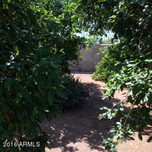 1398 S Coconino Dr, Apache Junction, AZ 85120 photo 8