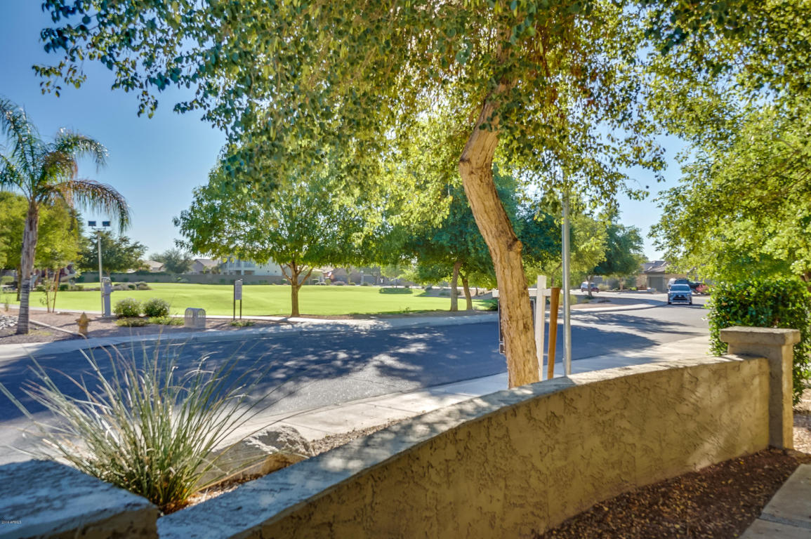 2010 N Milkweed Loop, Phoenix, AZ 85037 photo 63