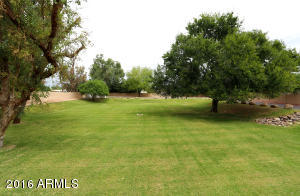 619 E Jensen St #84, Mesa, AZ 85203 photo 19