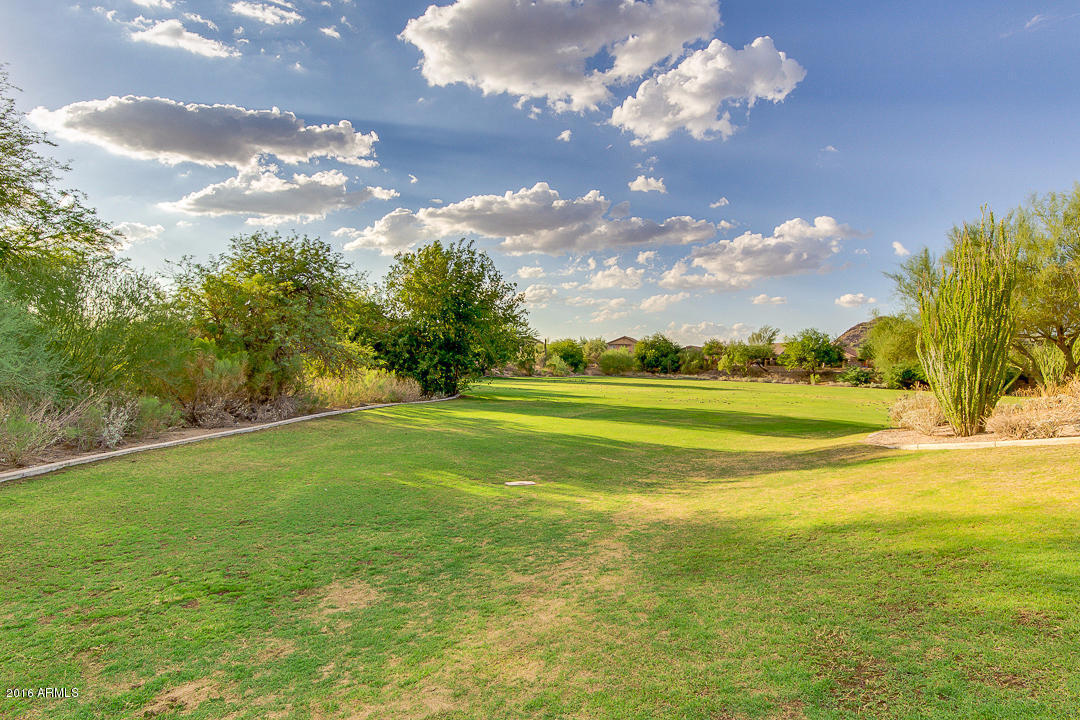 7423 E Odessa St, Mesa, AZ 85207 photo 45