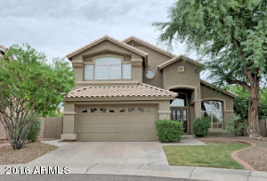 1434 E Saltsage Dr, Phoenix, AZ 85048 photo 1