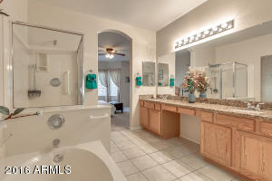 8950 E Hobart St, Mesa, AZ 85207 photo 11
