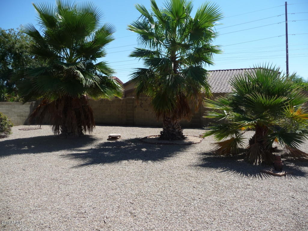 4043 E Shomi St, Phoenix, AZ 85044 photo 24