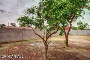 14808 N 36th Pl, Phoenix, AZ 85032 photo 27