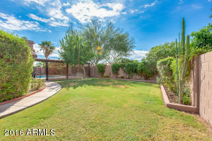 335 E Paradise Ln, Phoenix, AZ 85022 photo 11