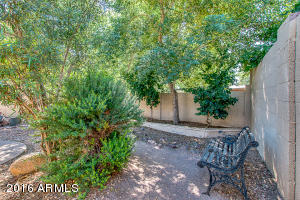 2531 E Bluefield Ave, Phoenix, AZ 85032 photo 43