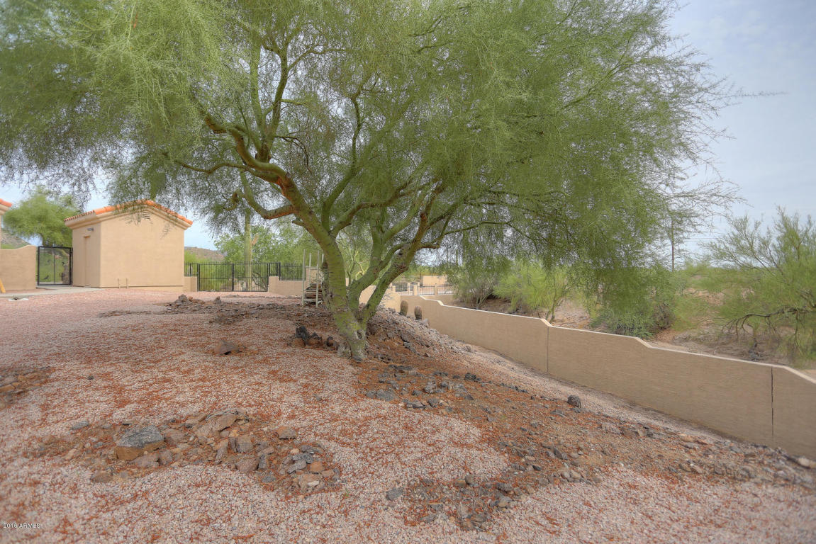 8056 E Redberry --, Mesa, AZ 85207 photo 41