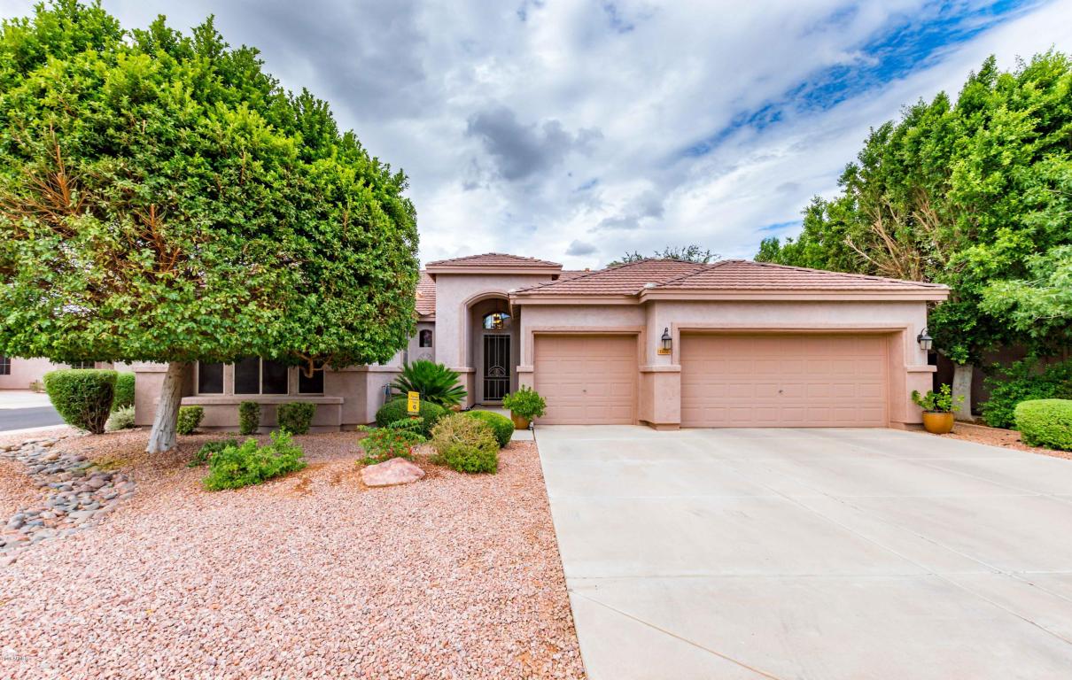 1172 W Windhaven Ave, Gilbert, AZ 85233 photo 1