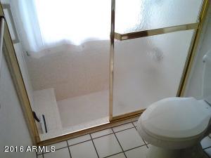4646 E Flower Ave, Mesa, AZ 85206 photo 28