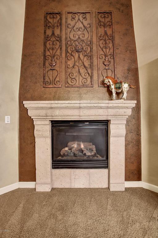 8035 E Teton Cir, Mesa, AZ 85207 photo 16