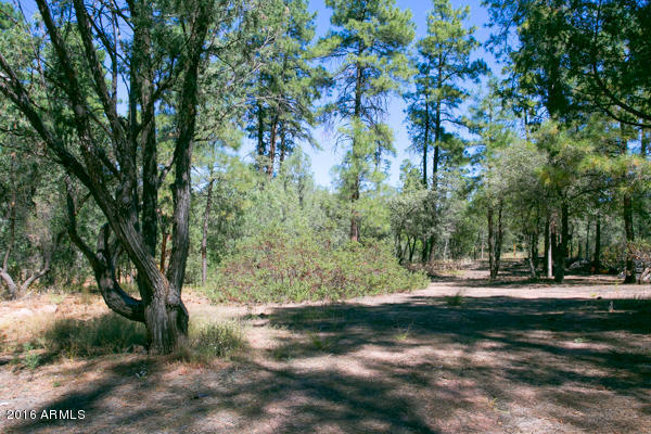 400 W Forest Dr, Payson, AZ 85541 photo 17