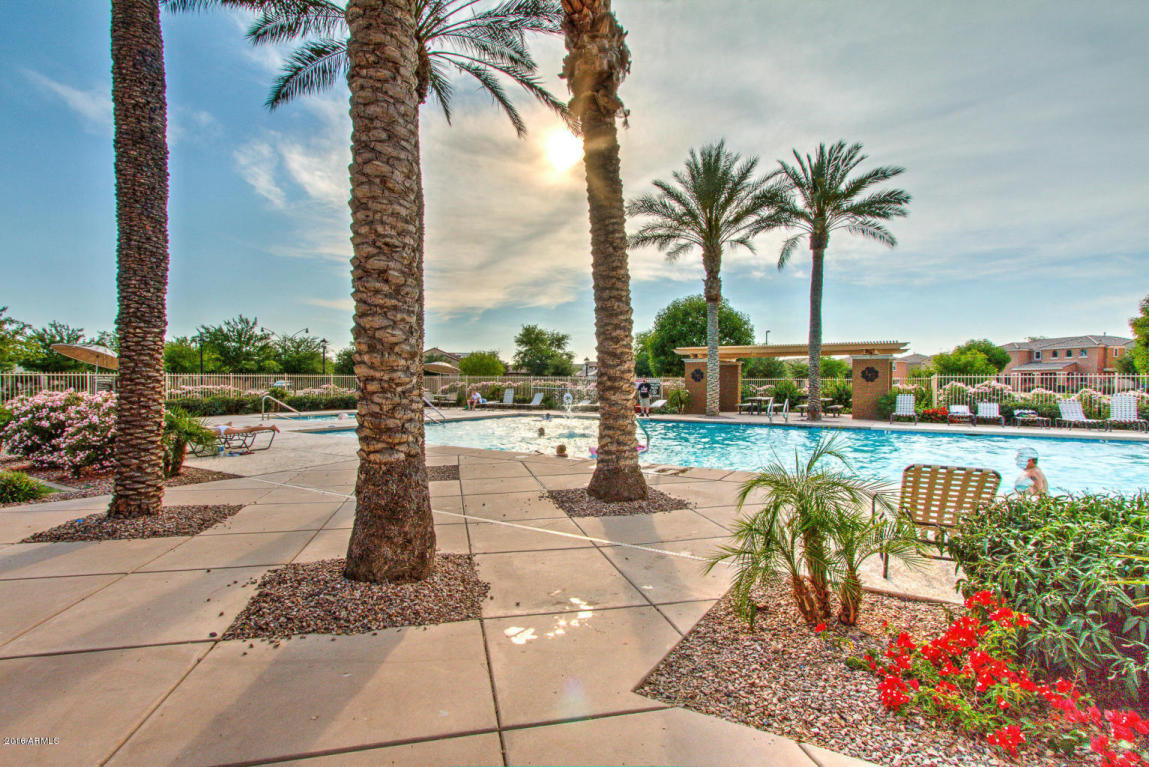 3004 E Harrison St, Gilbert, AZ 85295 photo 13