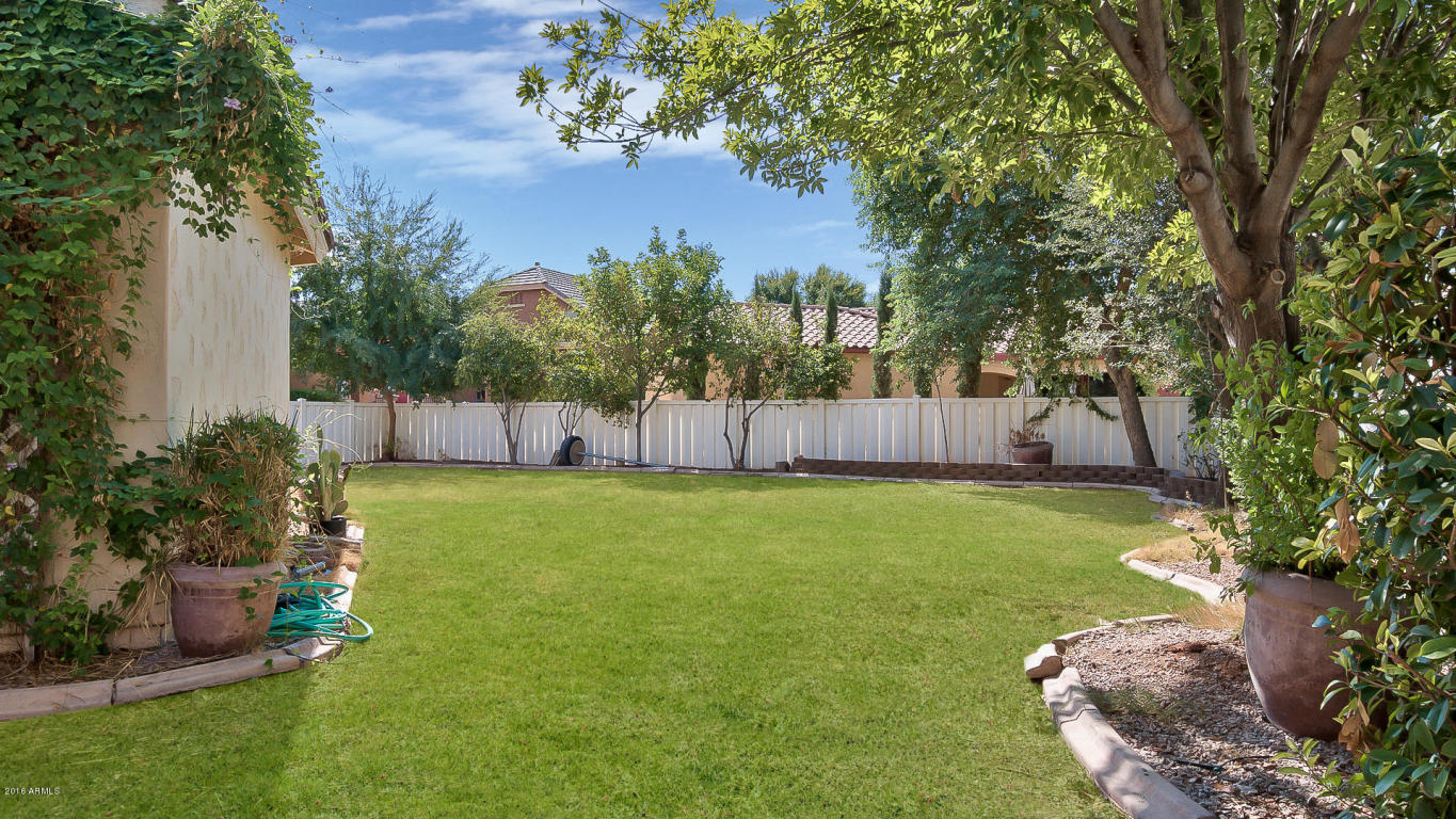 2697 E James St, Gilbert, AZ 85296 photo 11