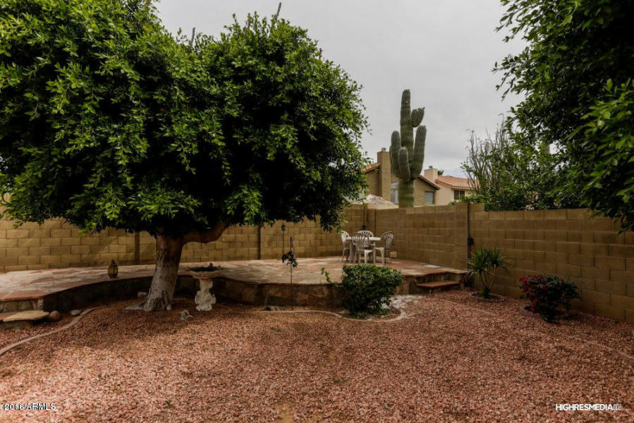 4538 E Villa Rita Dr, Phoenix, AZ 85032 photo 17