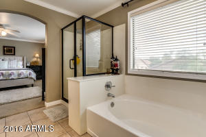 9703 E Impala Ave, Mesa, AZ 85209 photo 52